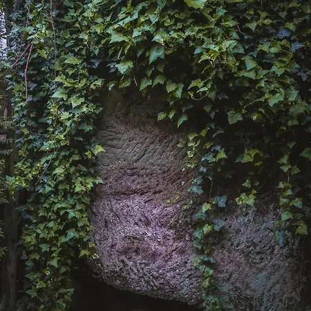 Chaloupka Pod Skalou *