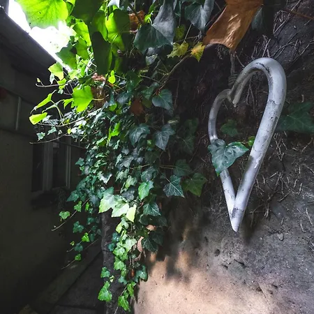 Chaloupka Pod Skalou Libošovice